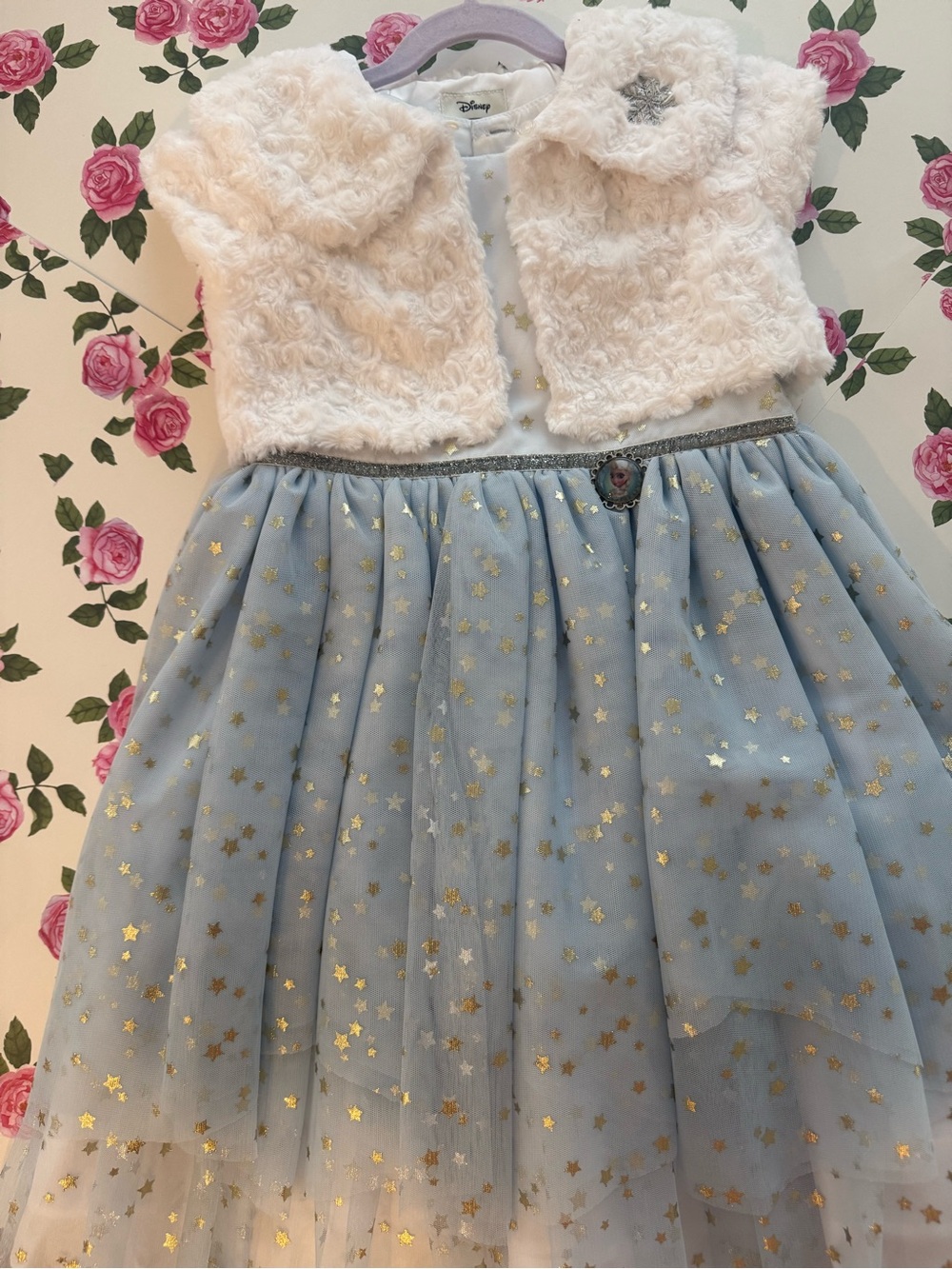 Pippa & Julie /Disney 2pc Faux Fur Vest with Light Blue Tulle Star dress
